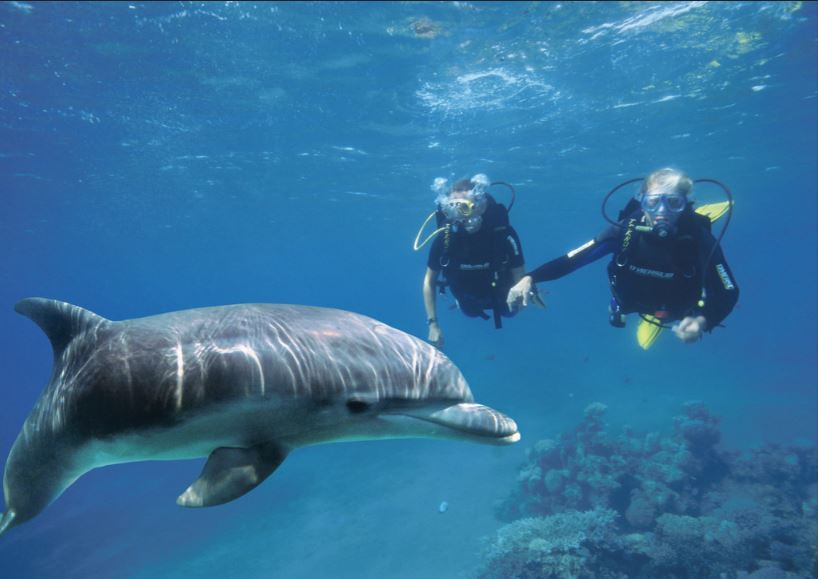 Eilat, Dolphin Reef _ Credit Tony Malkevist for the Israeli Ministry of Tourism