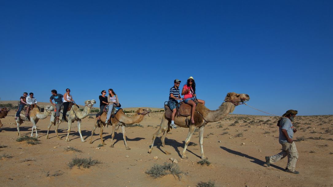 Click to open large image Camel ride in the Negev _ Credit Dafna Tal for the Israeli Ministry of Tourism